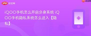 iQOO手机怎么开启分身系统 iQOO手机隐私系统怎么进入【隐私】