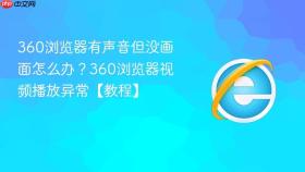 360浏览器有声音但没画面怎么办？360浏览器视频播放异常【教程】
