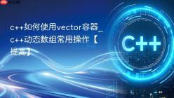 c++如何使用vector容器_c++动态数组常用操作【提高】