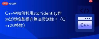 C++中如何利用std::identity作为泛型投影提升算法灵活性？（C++20特性）