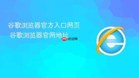 谷歌浏览器官方入口网页 谷歌浏览器官网地址