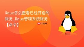 linux怎么查看已经开启的服务_linux管理系统服务【命令】