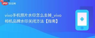 vivo手机照片水印怎么去掉_vivo相机品牌水印关闭方法【指南】
