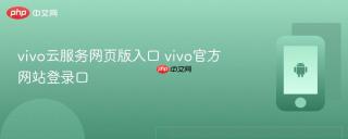 vivo云服务网页版入口 vivo官方网站登录口