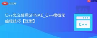 c++怎么使用sfinae_c++模板元编程技巧【泛型】