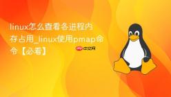 linux怎么查看各进程内存占用_linux使用pmap命令【必看】