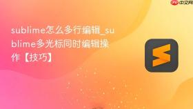 sublime怎么多行编辑_sublime多光标同时编辑操作【技巧】