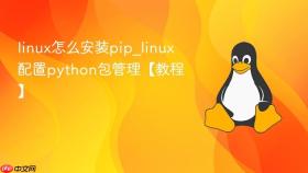 linux怎么安装pip_linux配置python包管理【教程】