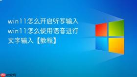 win11怎么开启听写输入 win11怎么使用语音进行文字输入【教程】