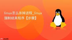 linux怎么杀掉进程_linux强制结束程序【步骤】