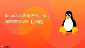 linux怎么杀掉进程_linux强制结束程序【步骤】