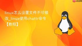 linux怎么设置文件不可修改_linux使用chattr命令【教程】