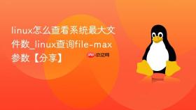 linux怎么查看系统最大文件数_linux查询file-max参数【分享】