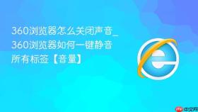 360浏览器怎么关闭声音_360浏览器如何一键静音所有标签【音量】