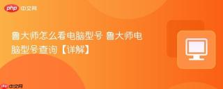 鲁大师怎么看电脑型号 鲁大师电脑型号查询【详解】