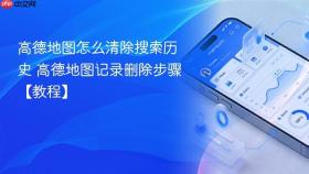 高德地图怎么清除搜索历史 高德地图记录删除步骤【教程】