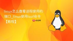linux怎么查看进程使用的端口_linux使用lsof命令【教程】
