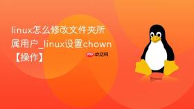 linux怎么修改文件夹所属用户_linux设置chown【操作】
