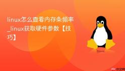 linux怎么查看内存条频率_linux获取硬件参数【技巧】