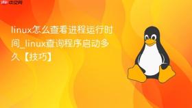 linux怎么查看进程运行时间_linux查询程序启动多久【技巧】