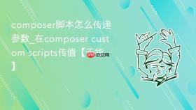 composer脚本怎么传递参数_在composer custom scripts传值【干货】