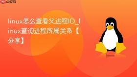 linux怎么查看父进程id_linux查询进程所属关系【分享】