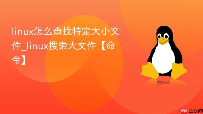 linux怎么查找特定大小文件_linux搜索大文件【命令】