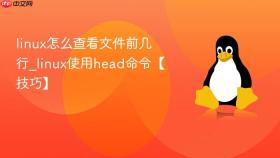 linux怎么查看文件前几行_linux使用head命令【技巧】