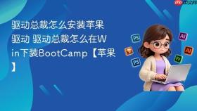 驱动总裁怎么安装苹果驱动 驱动总裁怎么在Win下装BootCamp【苹果】
