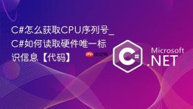 c#怎么获取cpu序列号_c#如何读取硬件唯一标识信息【代码】