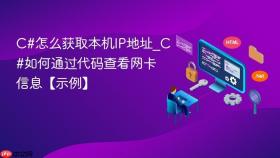 C#怎么获取本机IP地址_C#如何通过代码查看网卡信息【示例】