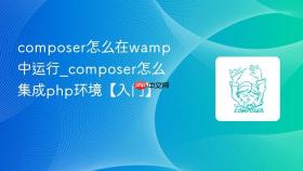 composer怎么在wamp中运行_composer怎么集成php环境【入门】