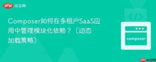 composer如何在多租户saas应用中管理模块化依赖?(动态加载策略)