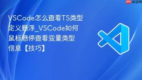 vscode怎么查看ts类型定义悬浮_vscode如何鼠标悬停查看变量类型信息【技巧】