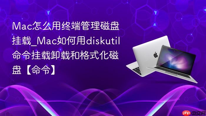 mac怎么用终端管理磁盘挂载_mac如何用diskutil命令挂载卸载和格式化磁盘【命令】