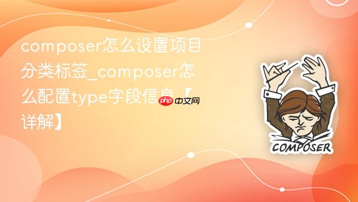 composer怎么设置项目分类标签_composer怎么配置type字段信息【详解】