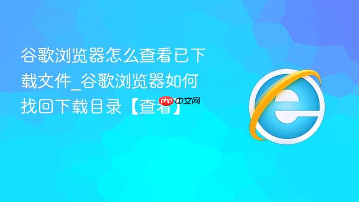 谷歌浏览器怎么查看已下载文件_谷歌浏览器如何找回下载目录【查看】