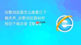 谷歌浏览器怎么查看已下载文件_谷歌浏览器如何找回下载目录【查看】