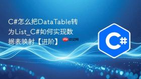 c#怎么把datatable转为list_c#如何实现数据表映射【进阶】