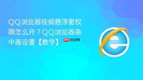 qq浏览器视频悬浮窗权限怎么开？qq浏览器画中画设置【教学】