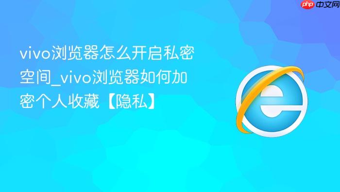 vivo浏览器怎么开启私密空间_vivo浏览器如何加密个人收藏【隐私】