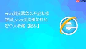 vivo浏览器怎么开启私密空间_vivo浏览器如何加密个人收藏【隐私】