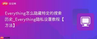 everything怎么隐藏特定的搜索历史_everything隐私设置教程【方法】