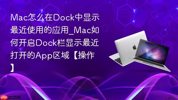 mac怎么在dock中显示最近使用的应用_mac如何开启dock栏显示最近打开的app区域【操作】