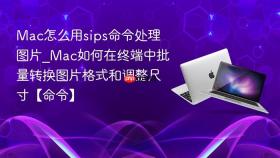 mac怎么用sips命令处理图片_mac如何在终端中批量转换图片格式和调整尺寸【命令】