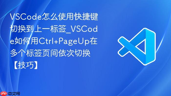 vscode怎么使用快捷键切换到上一标签_vscode如何用ctrl+pageup在多个标签页间依次切换【技巧】