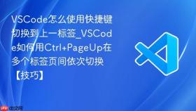 vscode怎么使用快捷键切换到上一标签_vscode如何用ctrl+pageup在多个标签页间依次切换【技巧】