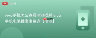 vivo手机怎么查看电池损耗 vivo手机电池健康度查询【电池】