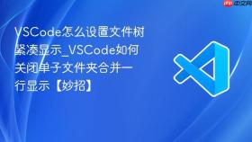 vscode怎么设置文件树紧凑显示_vscode如何关闭单子文件夹合并一行显示【妙招】