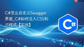 c#怎么自定义swagger界面_c#如何注入css和js样式【实战】